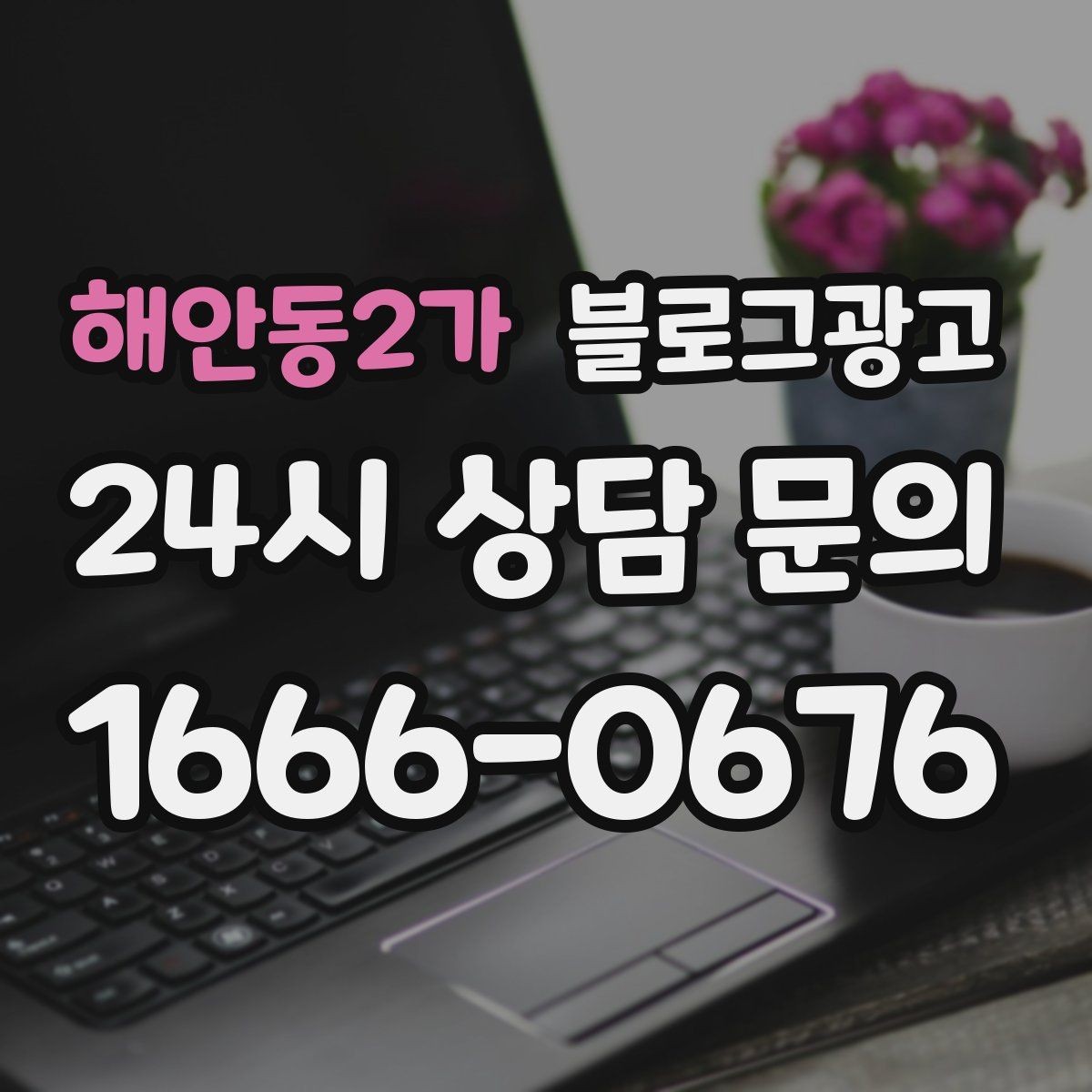 해안동2가 블로그광고 포장 전용 메뉴를 따로 알려 주는 제목