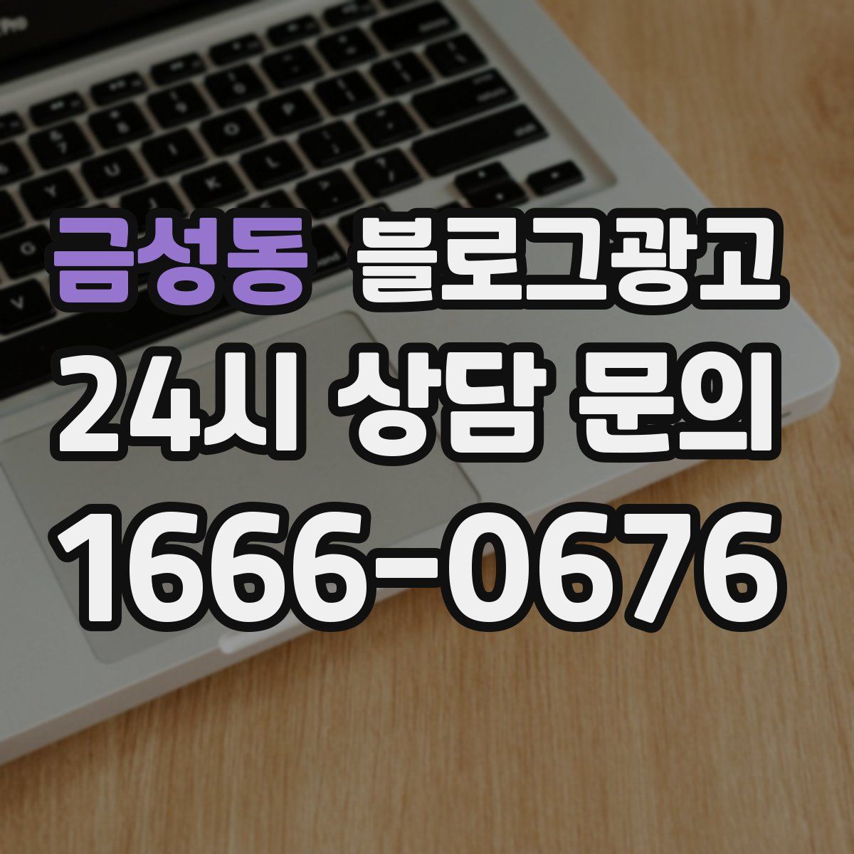 금성동 블로그 광고