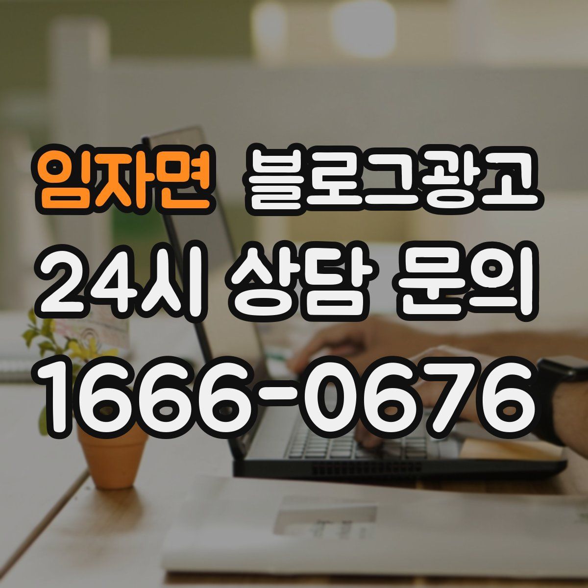 임자면 블로그 광고