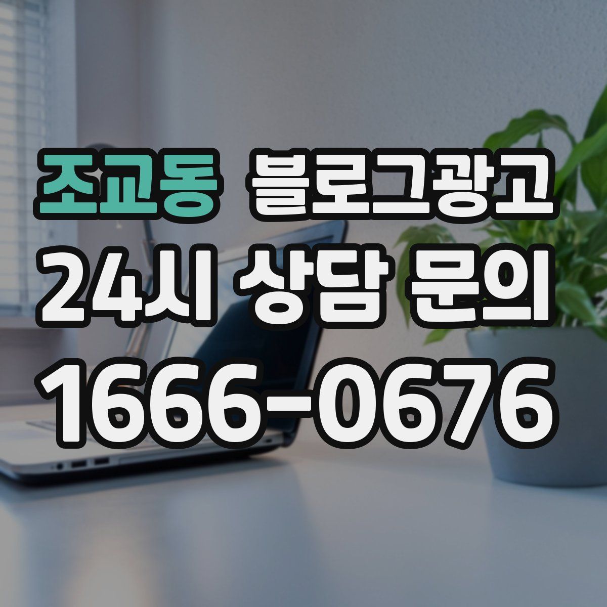 조교동 블로그 광고