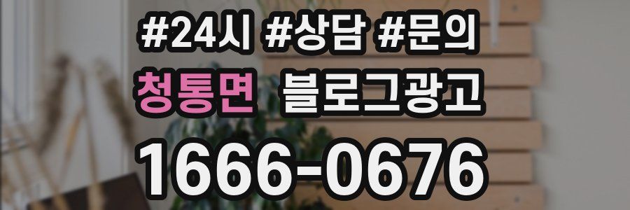 청통면 브랜드 블로그