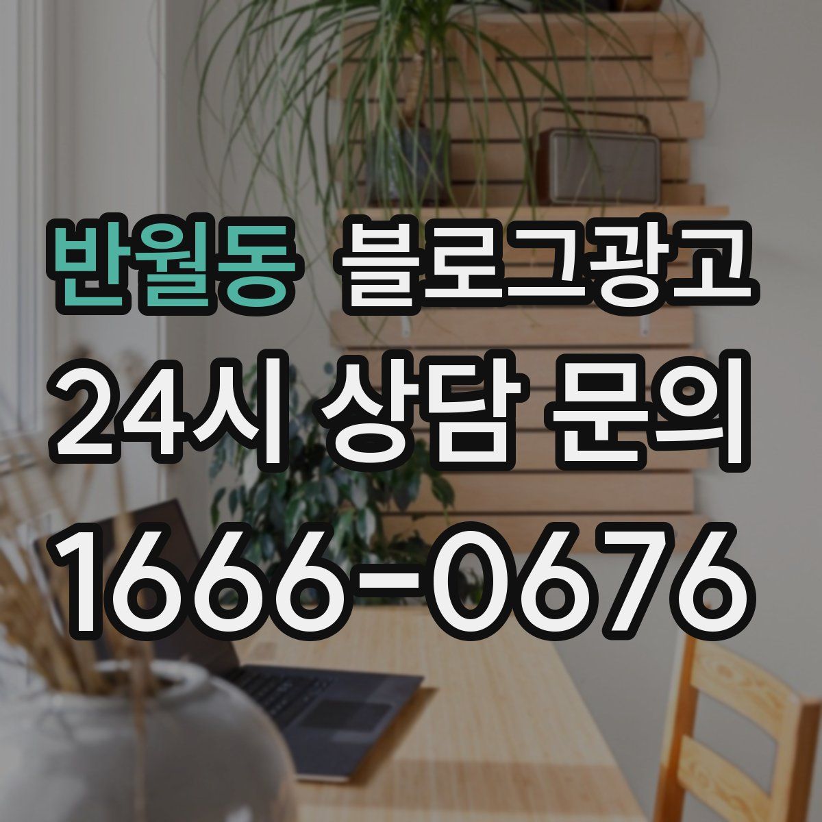 반월동 블로그 광고