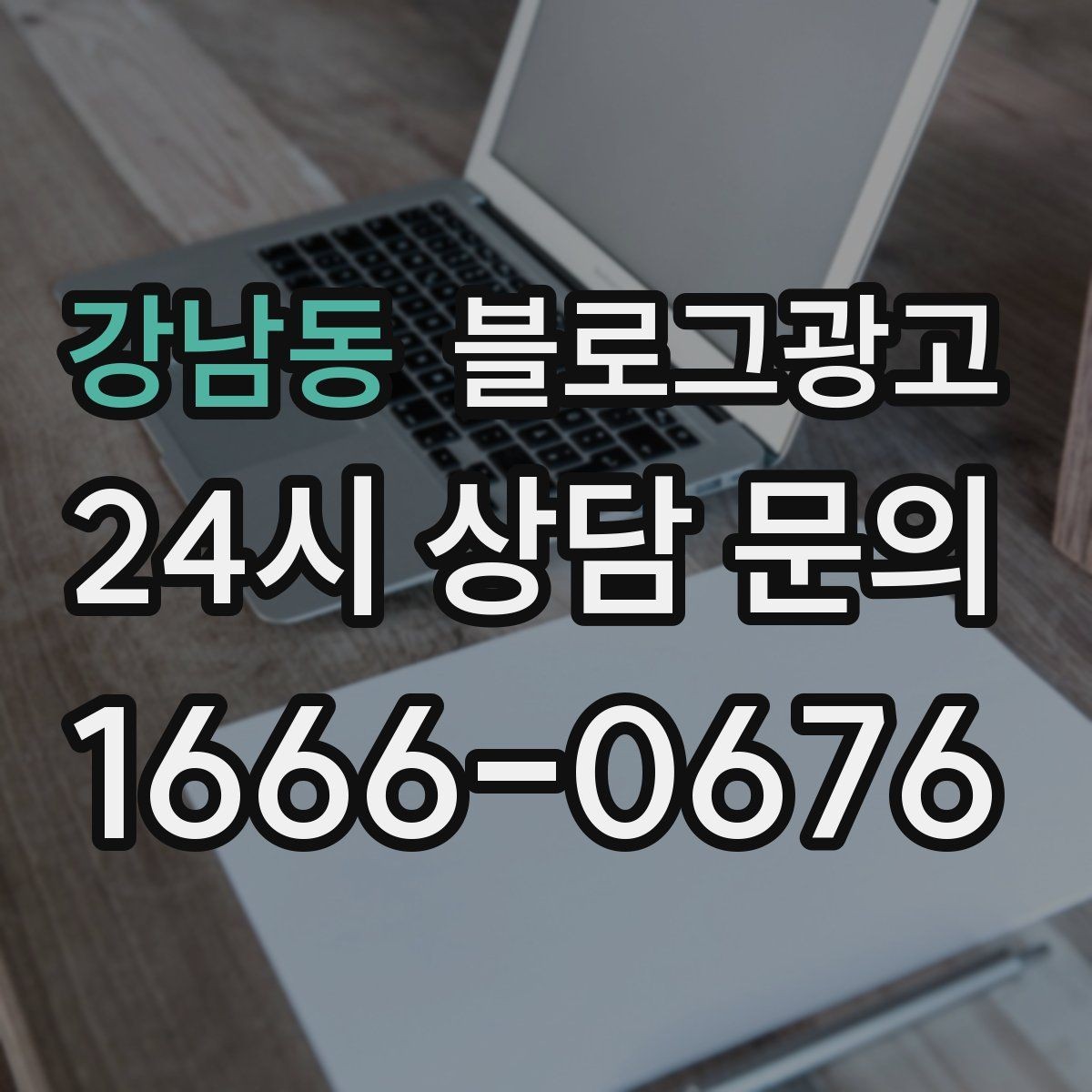강남동 블로그광고 반려동물 동반 가능한 매장의 이용 수칙 안내법