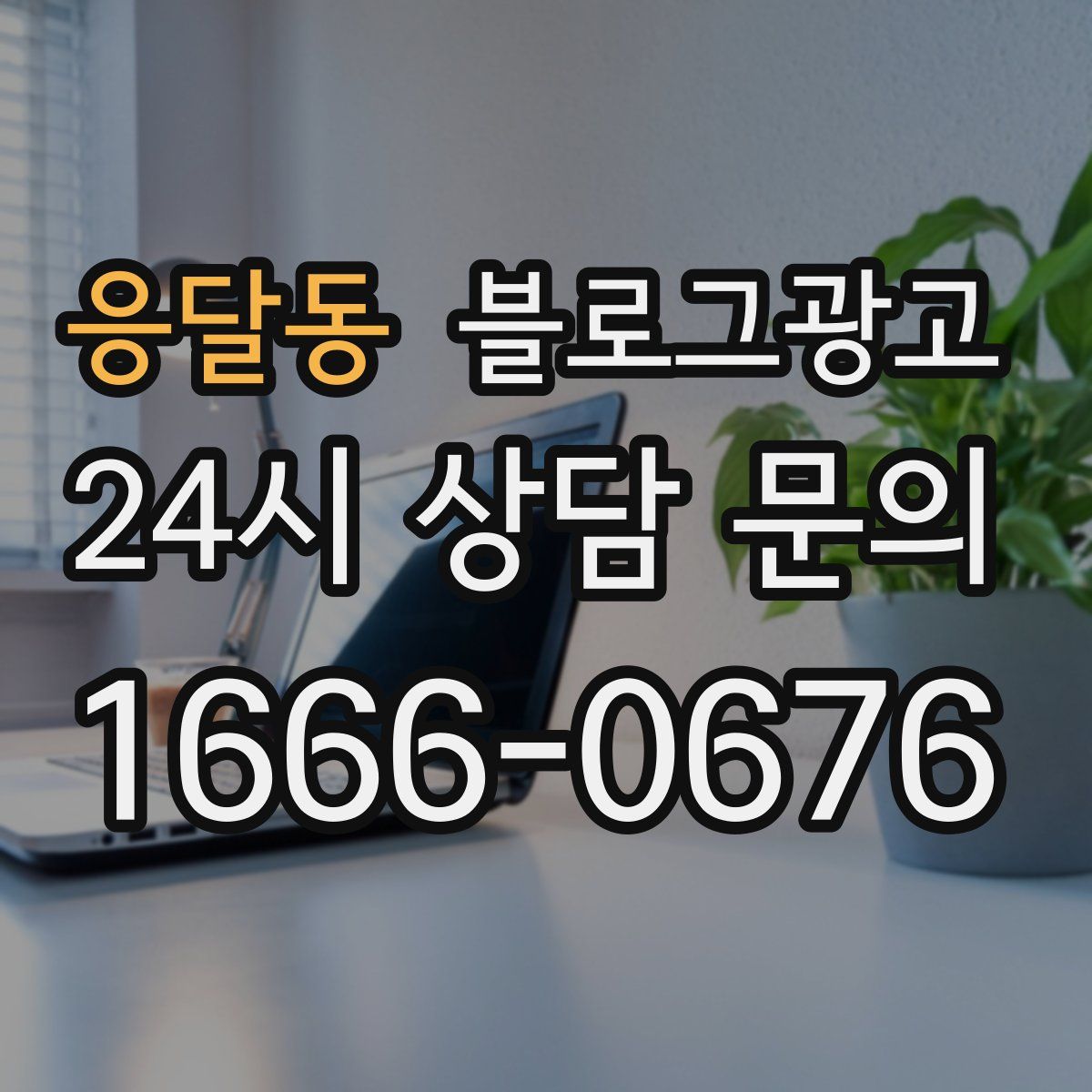 응달동 블로그 광고