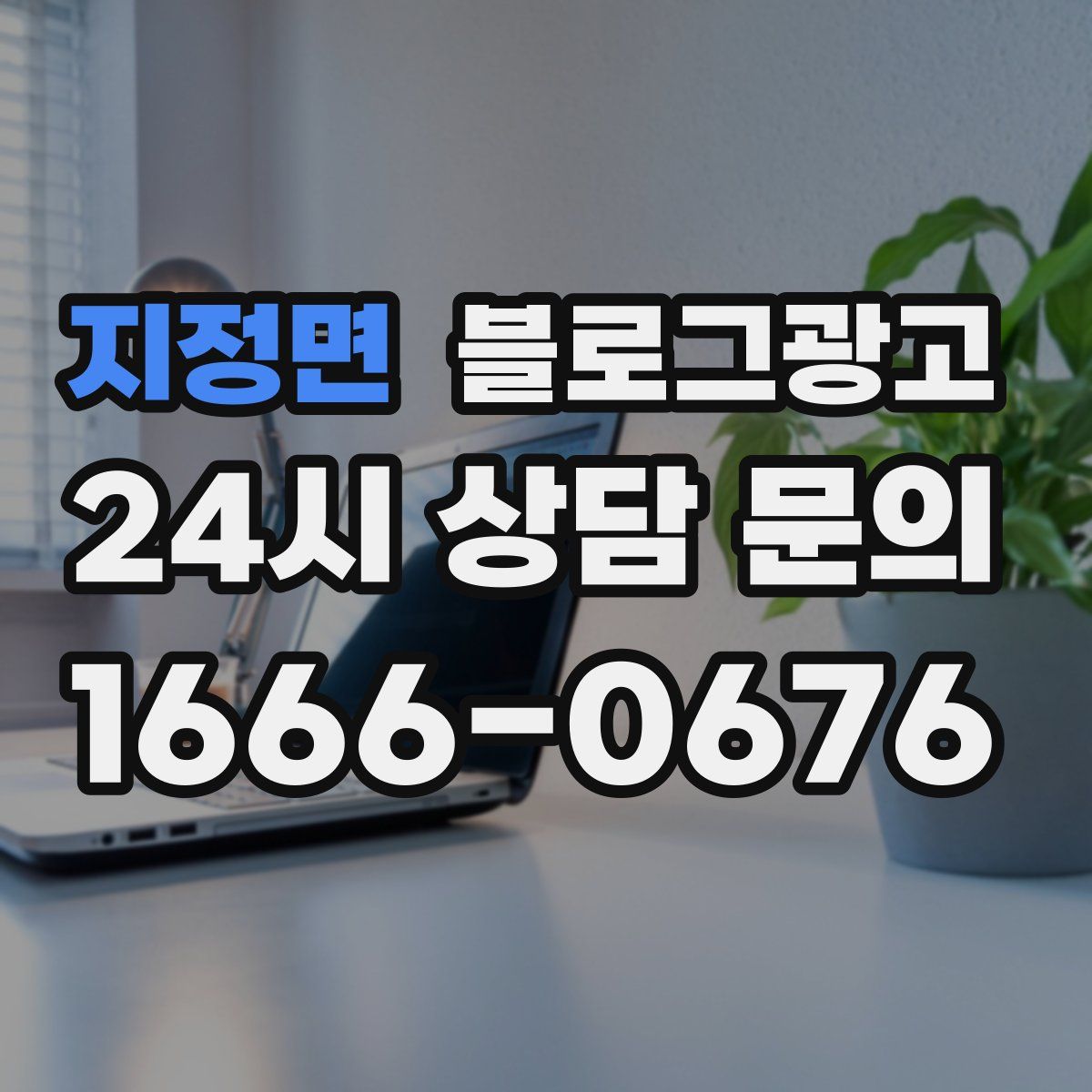 지정면 블로그 광고