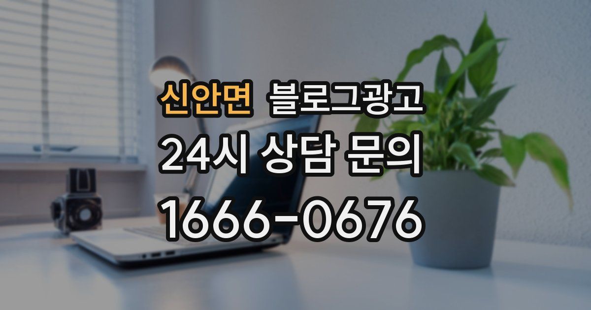 신안면 블로그 마케팅