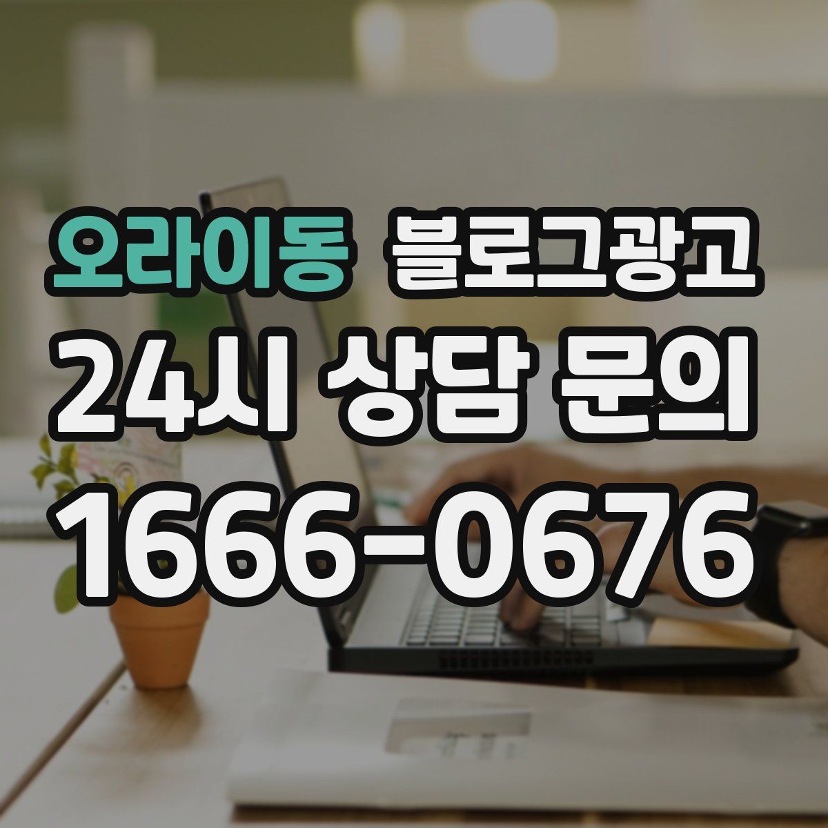 오라이동 블로그 광고