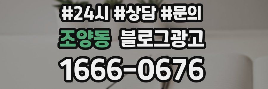 조양동 브랜드 블로그