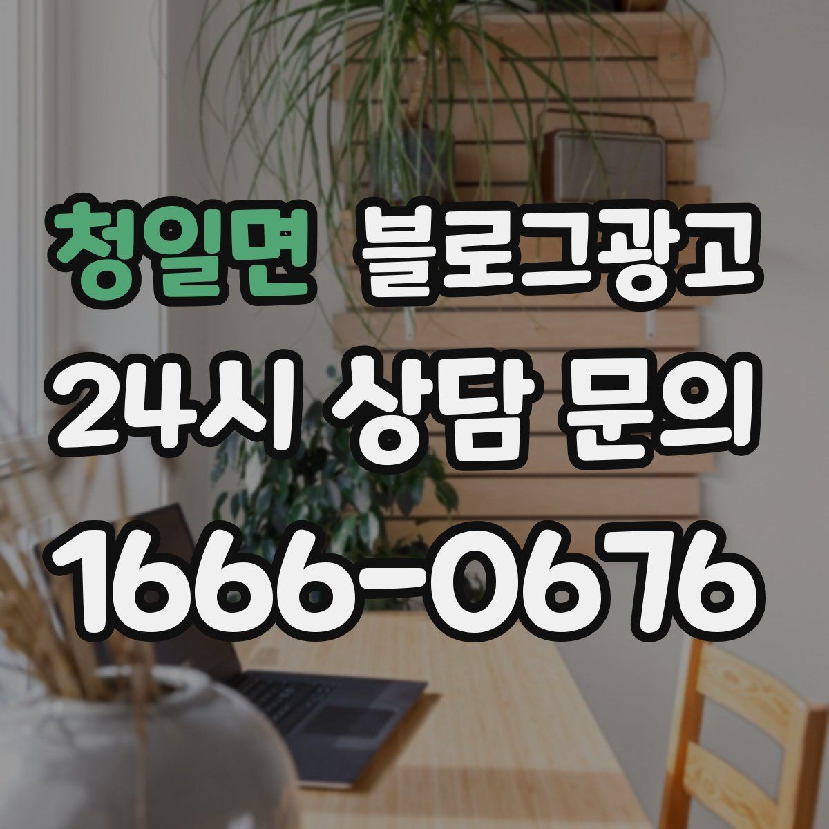 청일면 블로그 광고