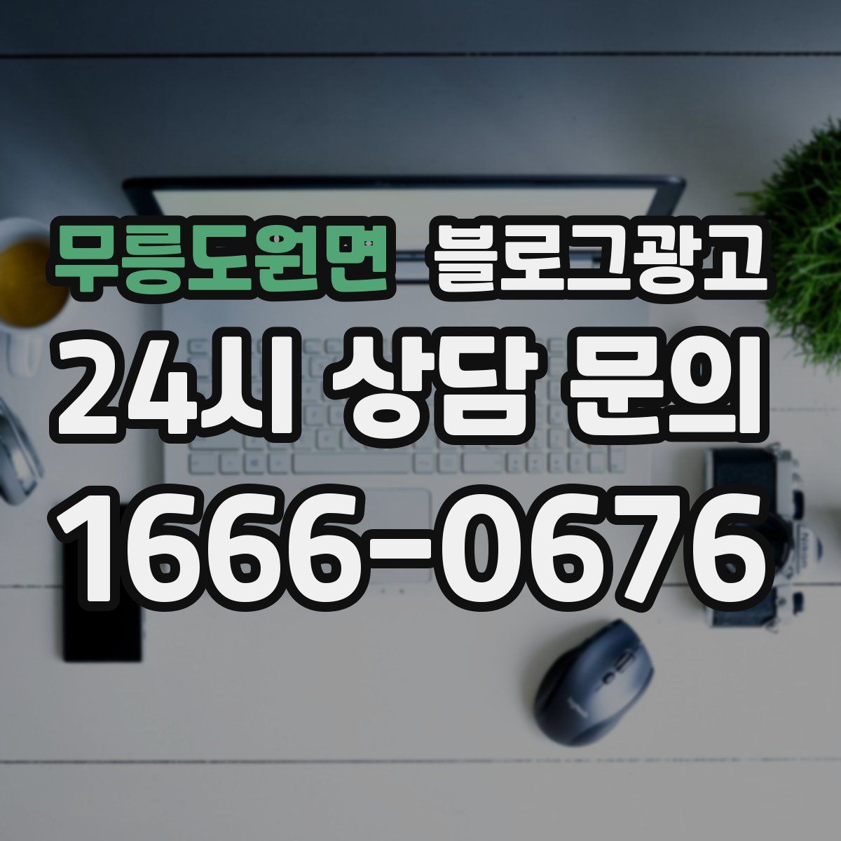 무릉도원면 블로그 광고