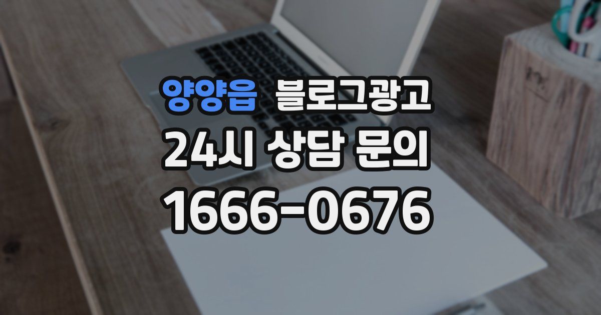 양양읍 블로그 마케팅