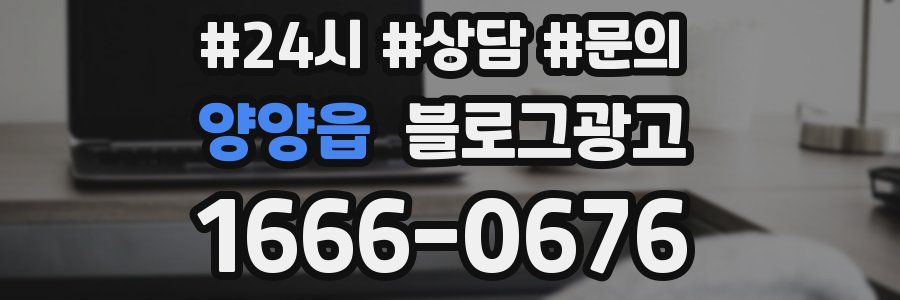 양양읍 브랜드 블로그