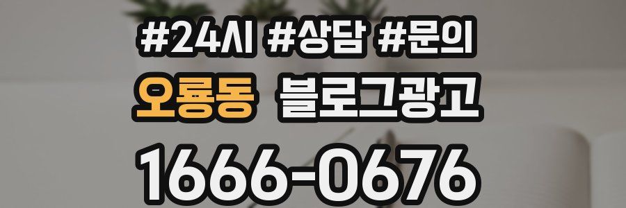 오룡동 브랜드 블로그