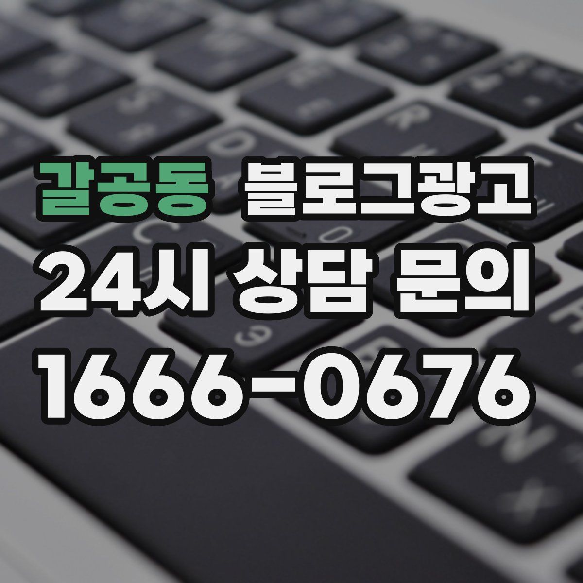 갈공동 블로그 광고