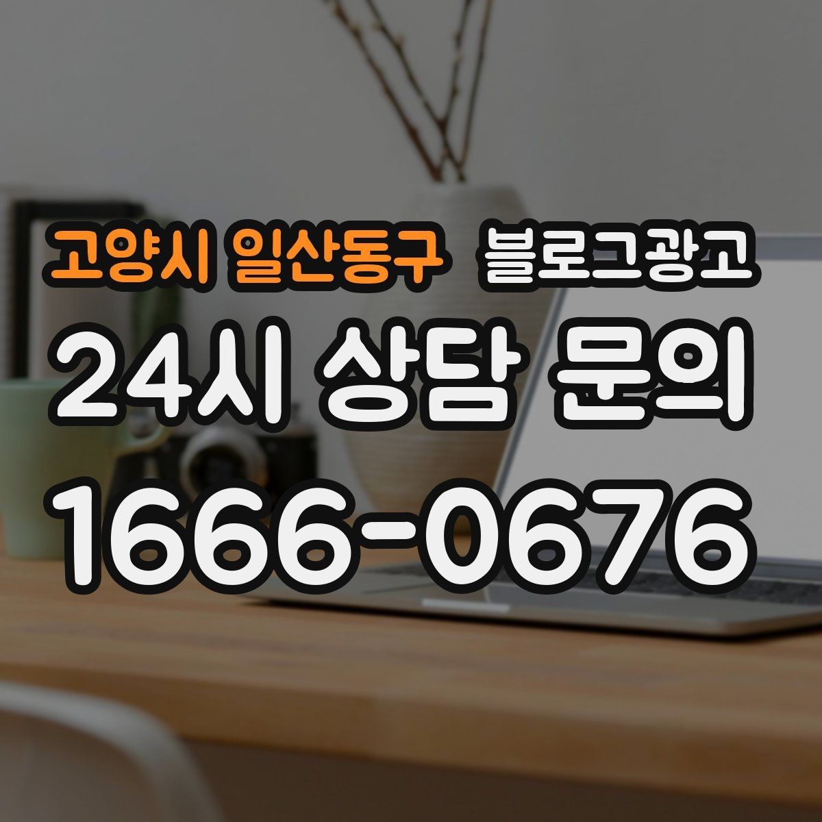 고양시 일산동구 블로그광고 소규모 매장도 큰 신뢰를 얻는 정보 구성