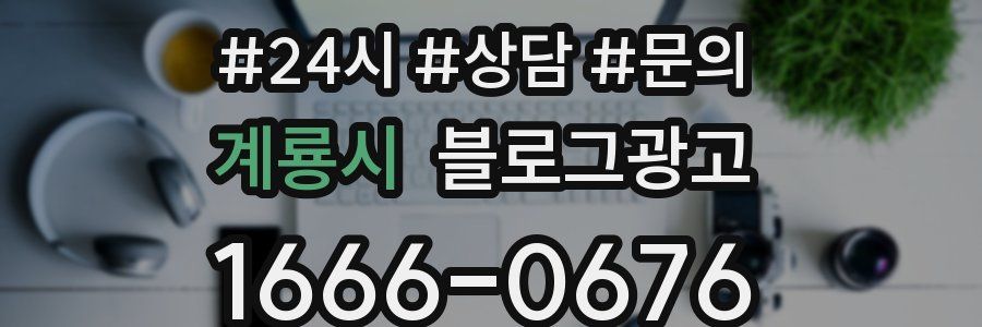 계룡시 브랜드 블로그