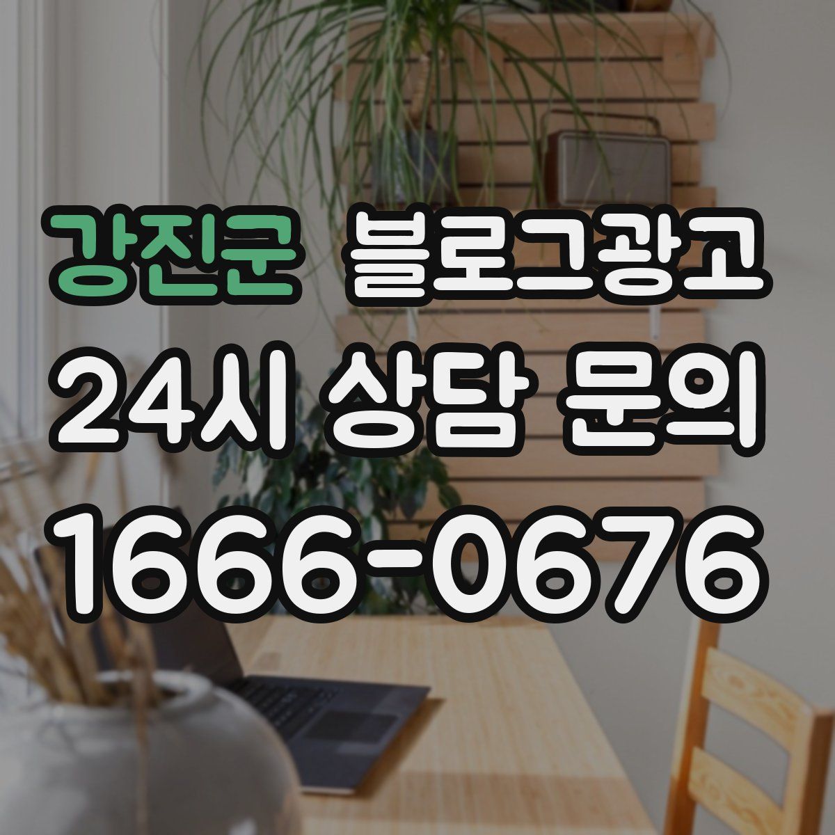 강진군 블로그 광고