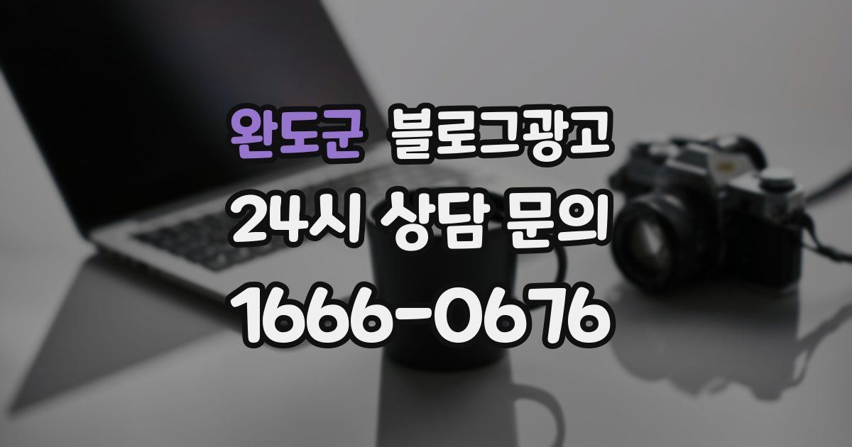 완도군 블로그 마케팅