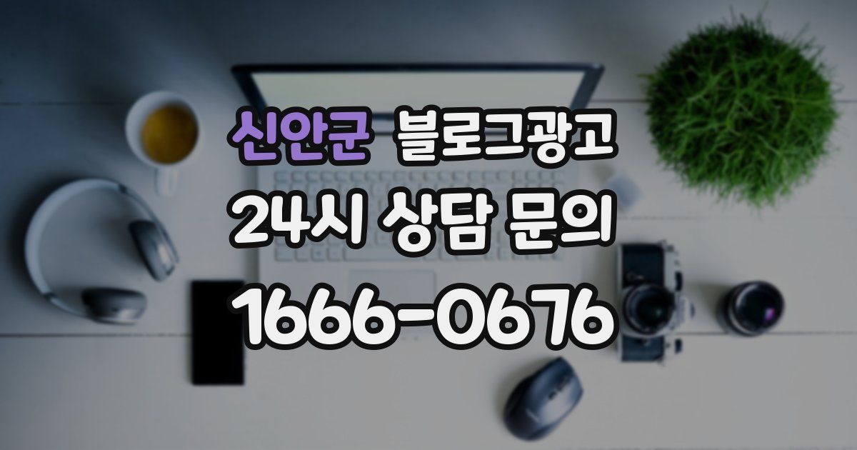신안군 블로그 마케팅