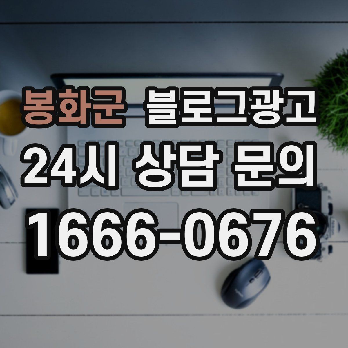 봉화군 블로그광고 인기 글과 비인기 글을 비교해 배우는 포인트