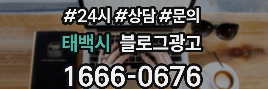 태백시 브랜드 블로그