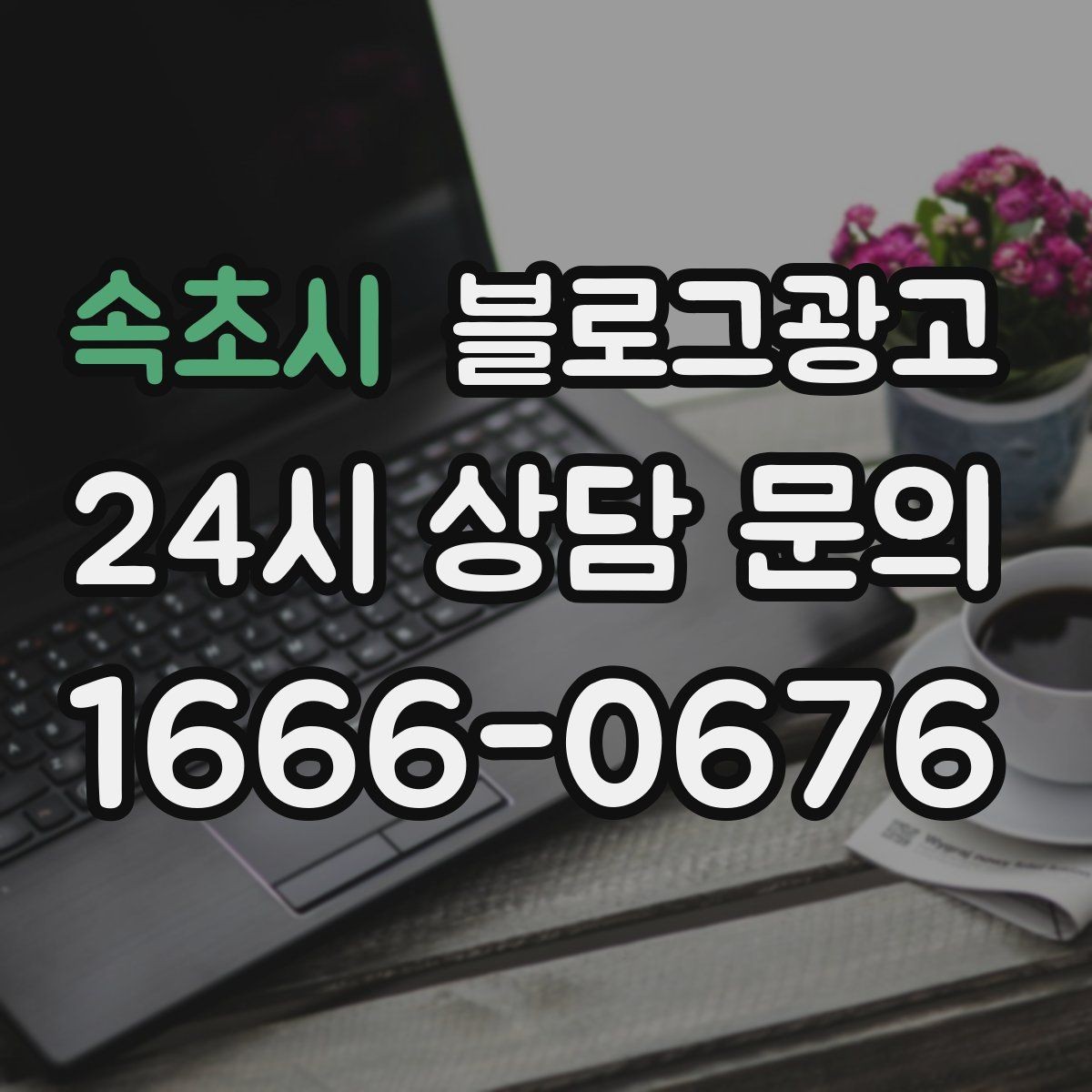 속초시 블로그광고 1인 손님도 편한 공간이라는 인상을 주는 법