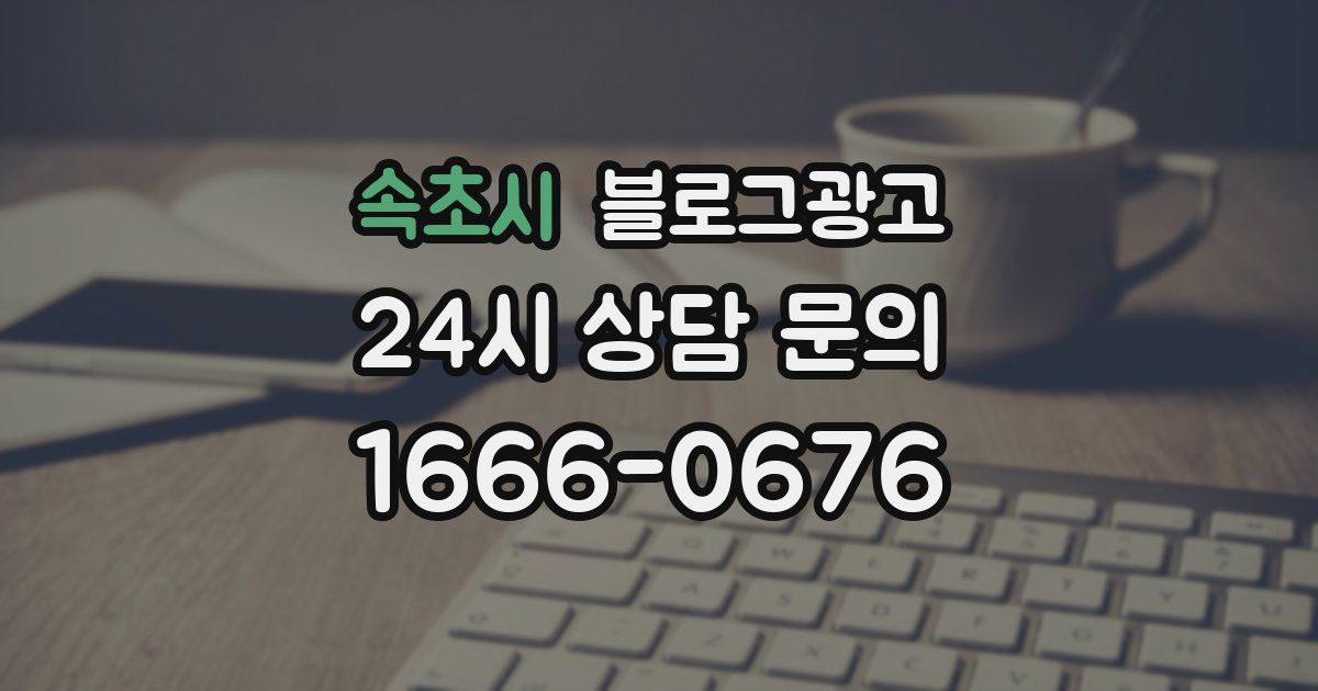 속초시 블로그 마케팅