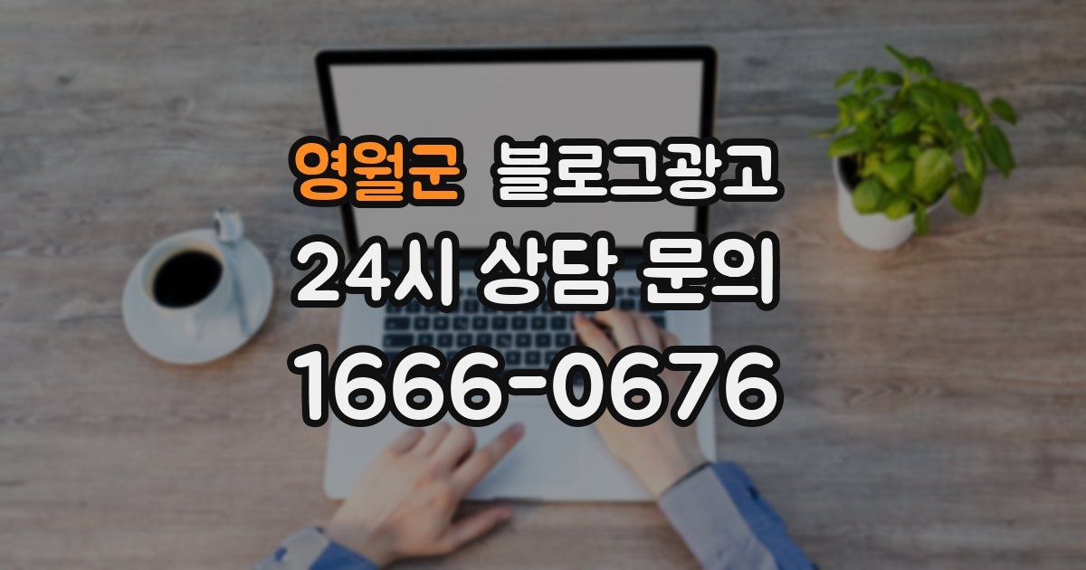 영월군 블로그 마케팅
