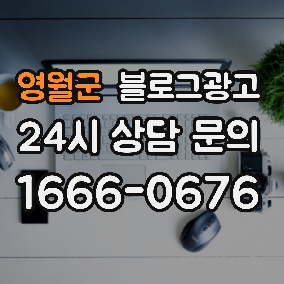 영월군 블로그 광고