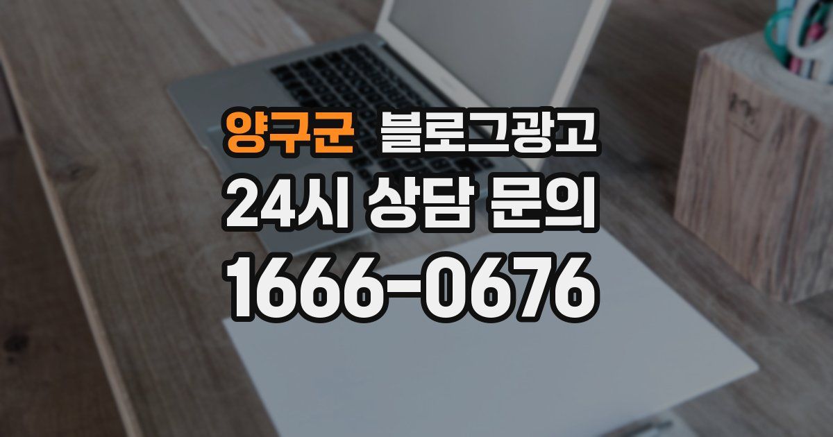 양구군 블로그 마케팅