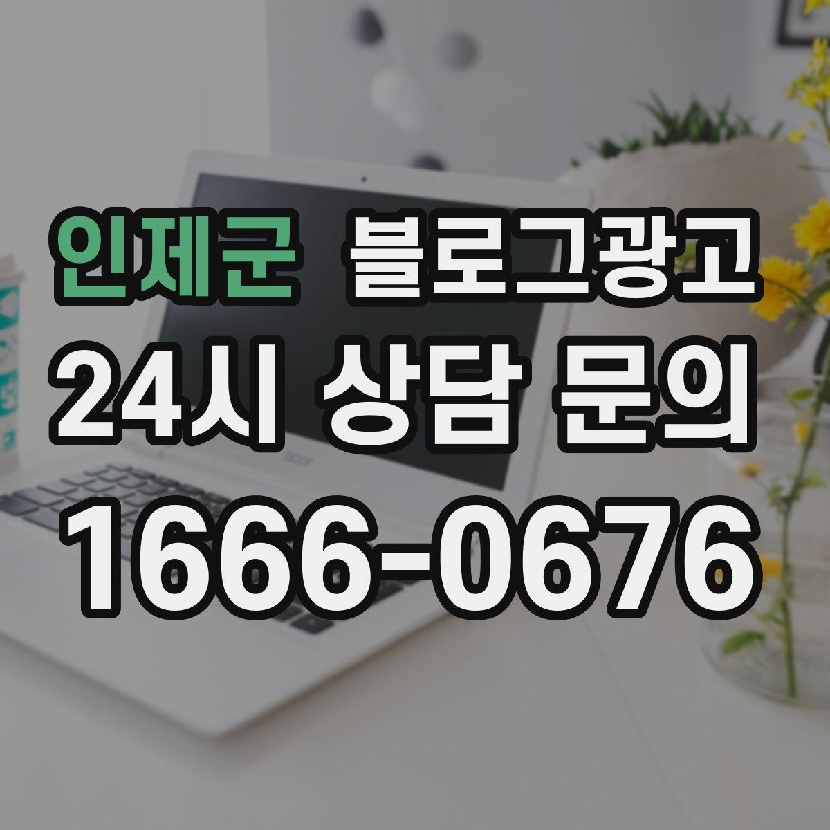 인제군 블로그 광고