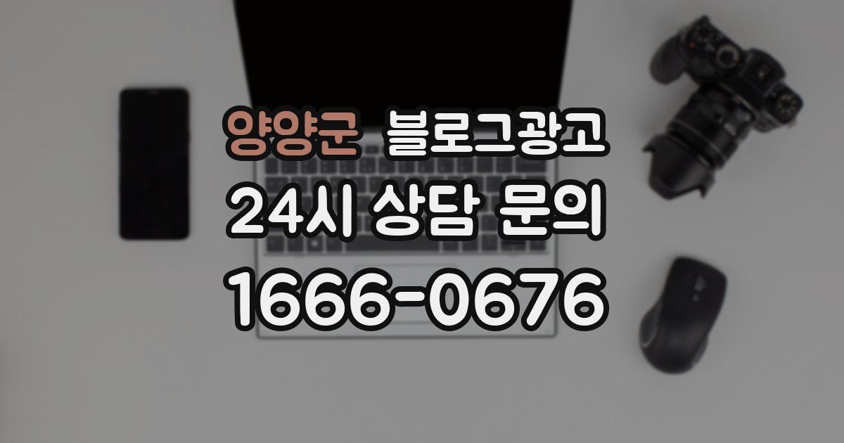 양양군 블로그 마케팅