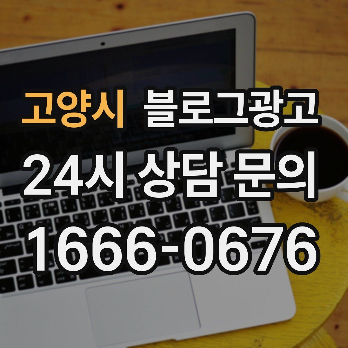 고양시 블로그광고 친구와 수다 떨기 좋은 조용한 자리 소개
