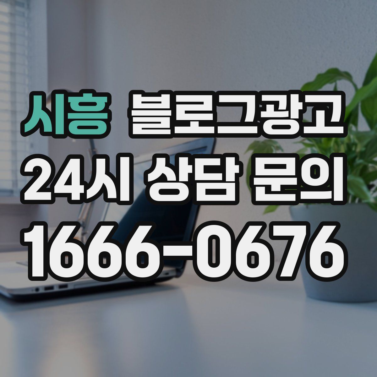 시흥 블로그 광고