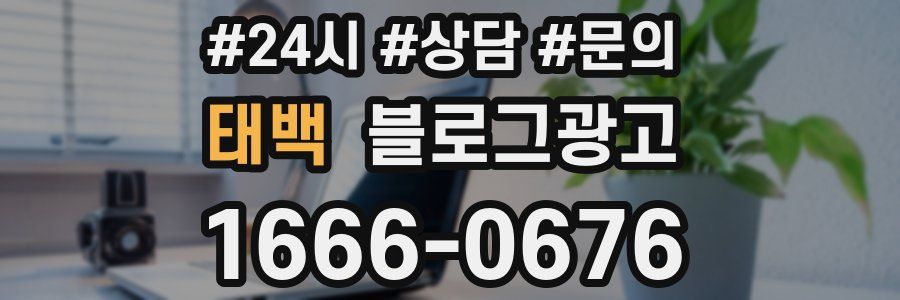 태백 브랜드 블로그