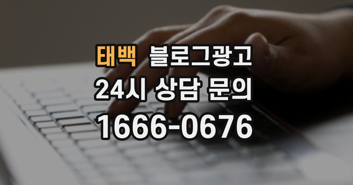 태백 블로그 마케팅