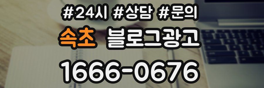 속초 브랜드 블로그