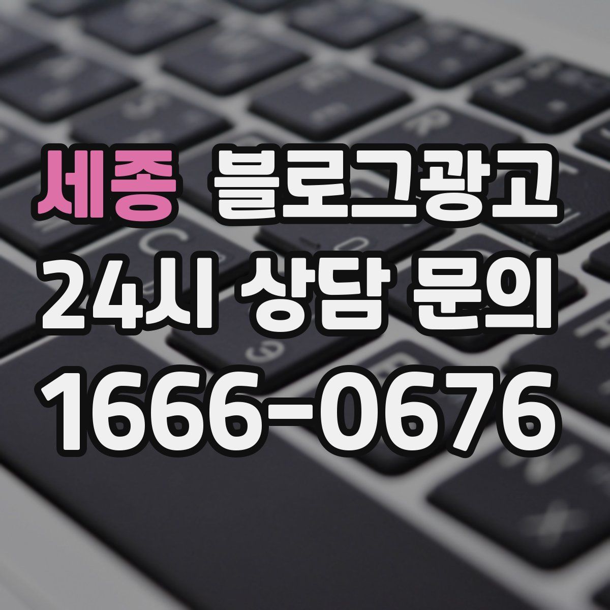 세종 블로그 광고