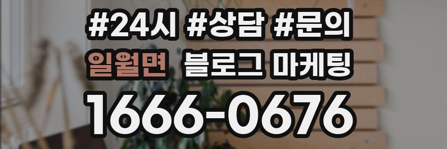 일월면 브랜드 블로그