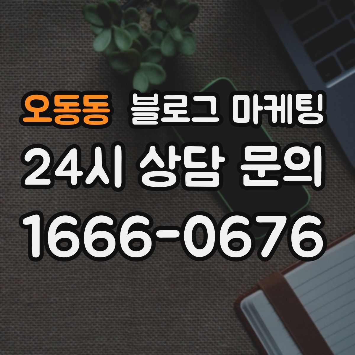 오동동 블로그 마케팅