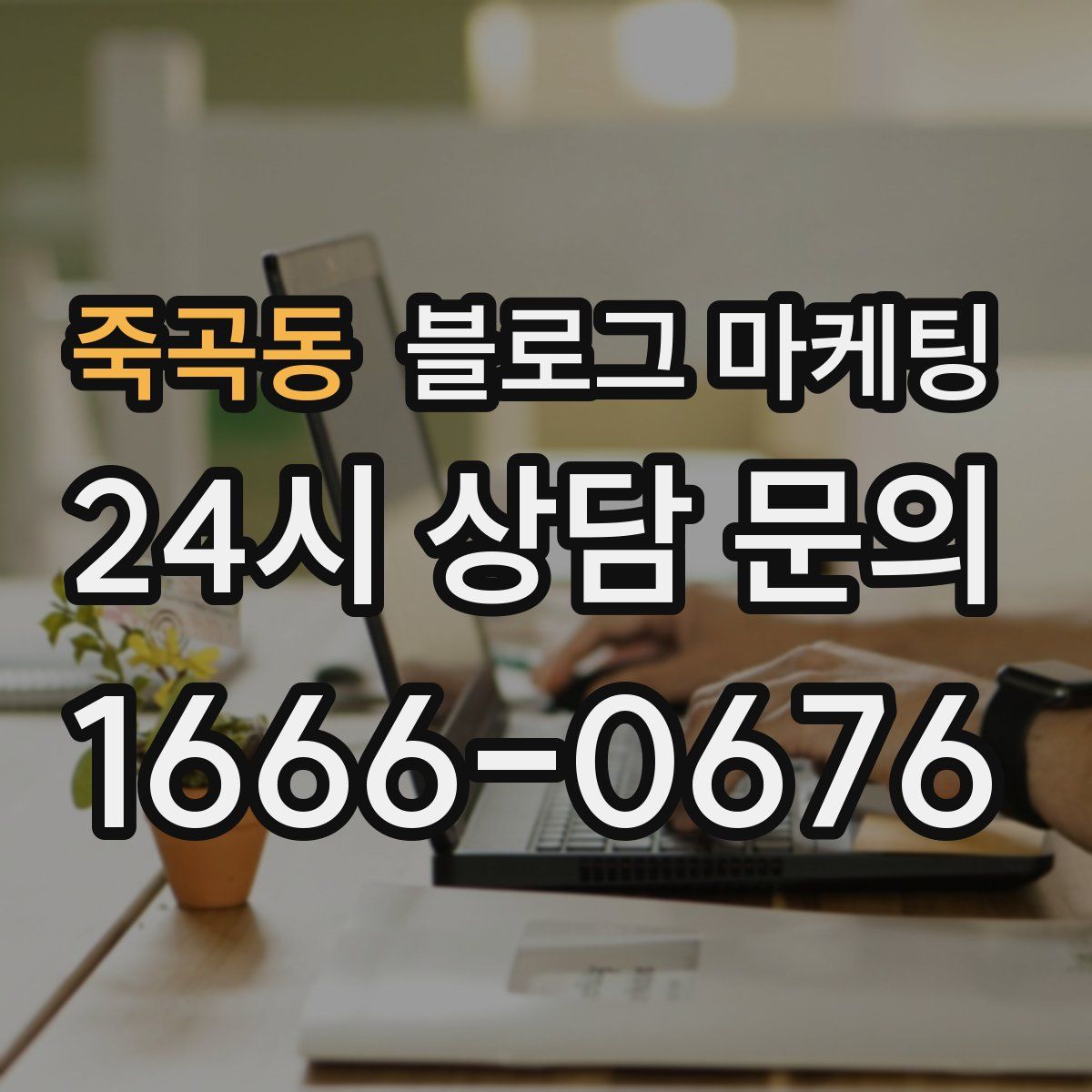 죽곡동 블로그 마케팅