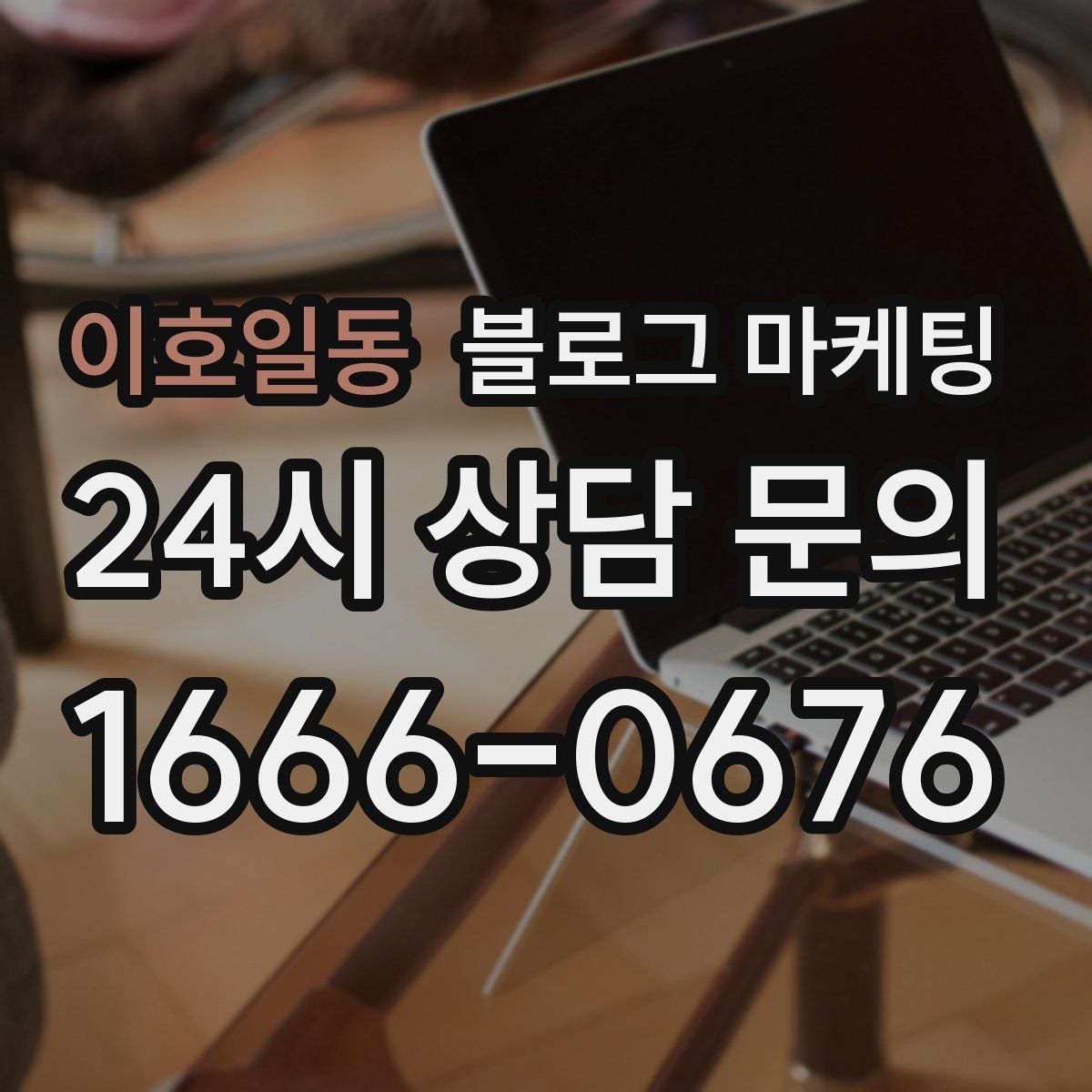 이호일동 블로그 마케팅