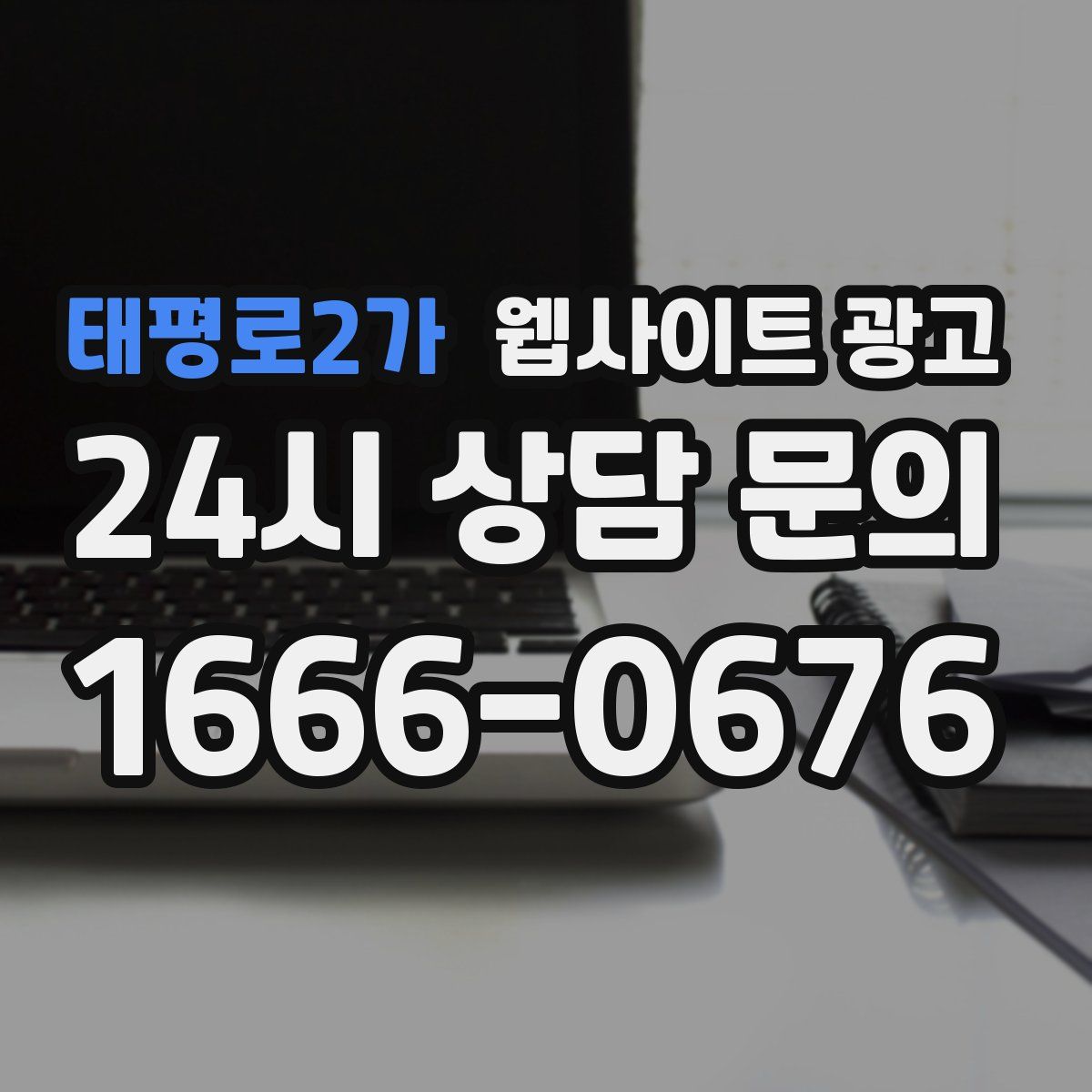 태평로2가 웹사이트 광고