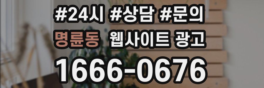 명륜동 웹사이트 광고