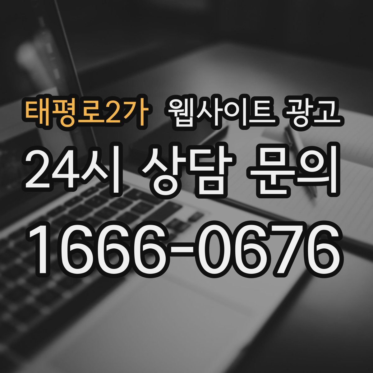 태평로2가 웹사이트 광고