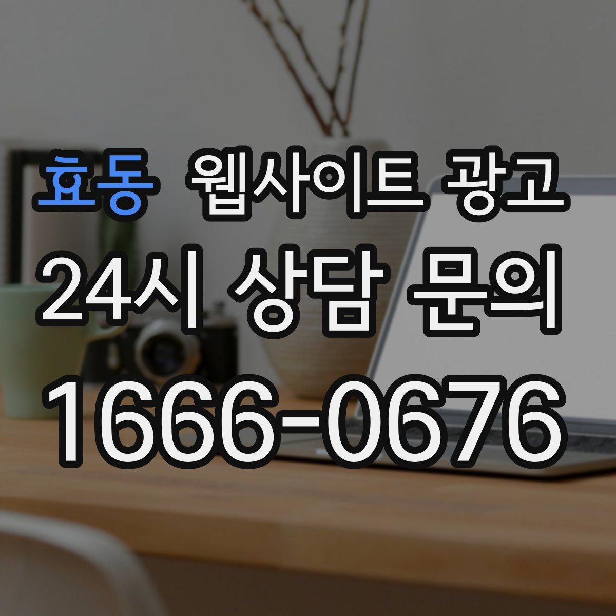 효동 웹사이트 광고