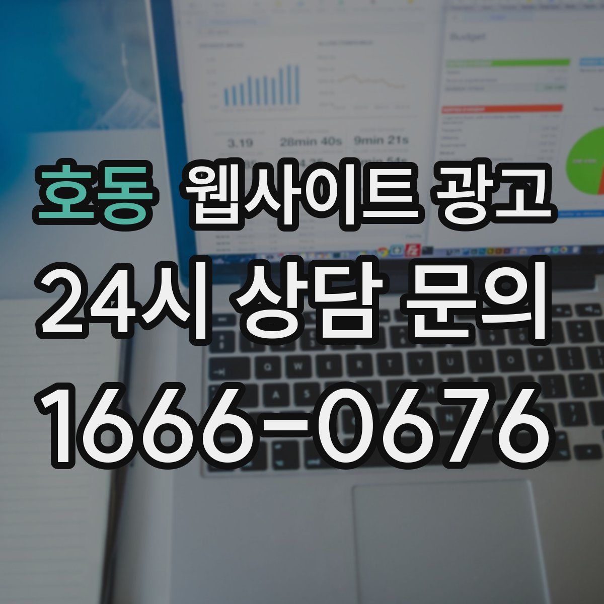 호동 웹사이트 광고