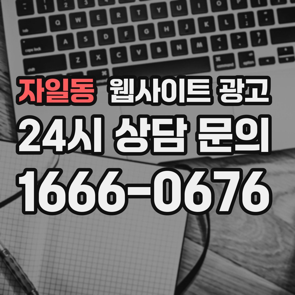 자일동 웹사이트 광고