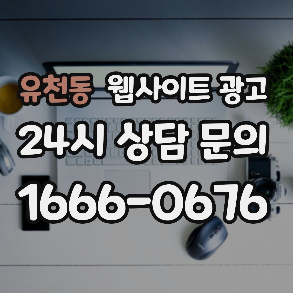 유천동 웹사이트 광고