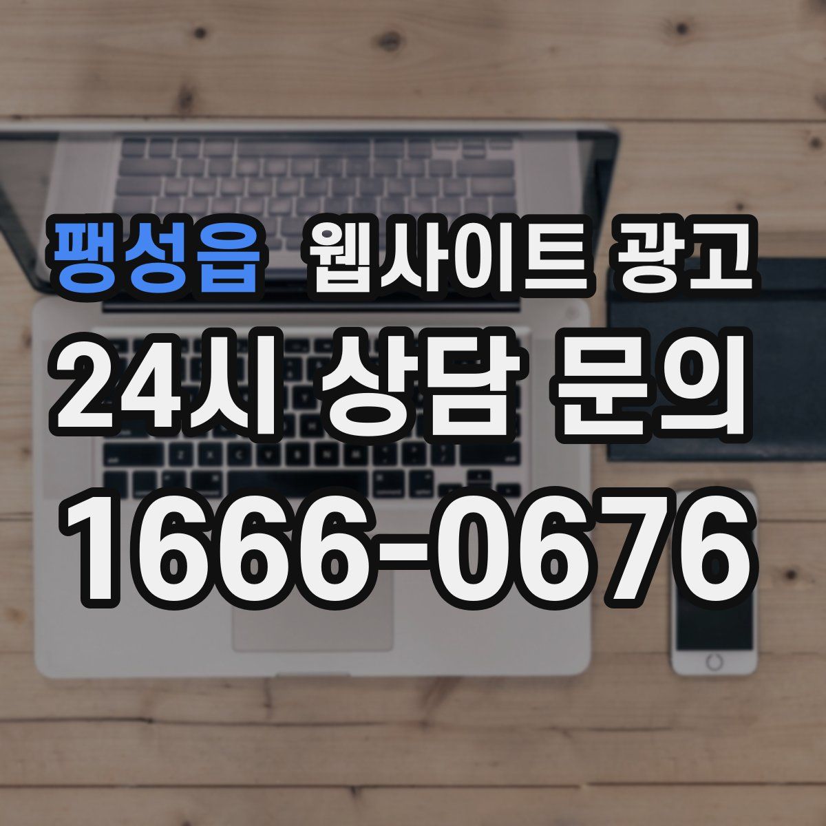 팽성읍 웹사이트 광고